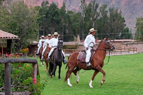 exhibicion-caballos-peruanos-paso